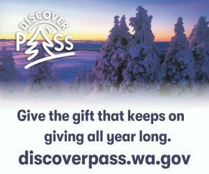 Discover Pass 300x250