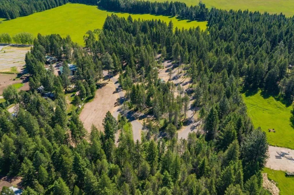 trees