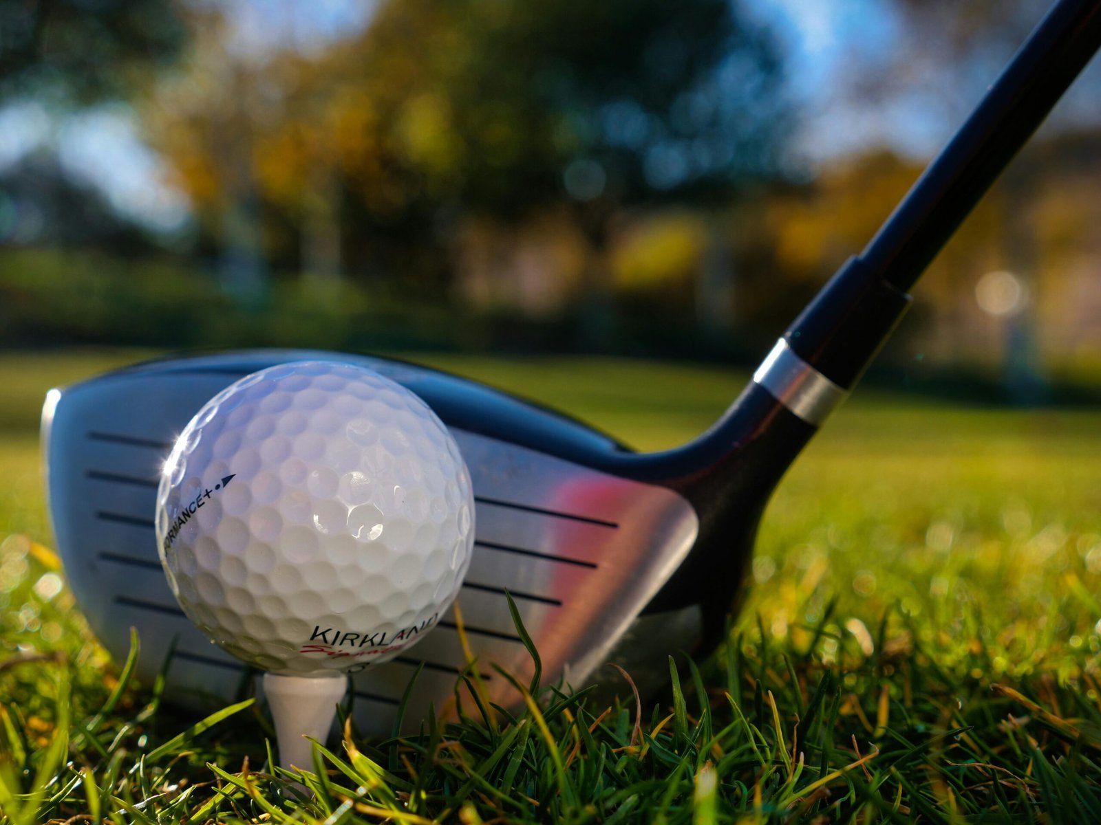 Driver and golf ball
