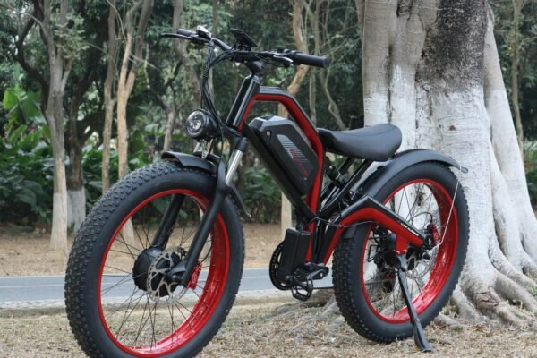 ebike
