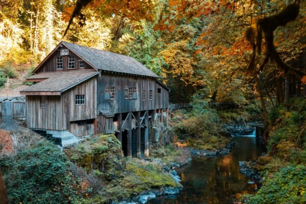 fall colors