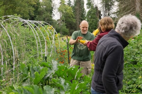 Cohousing: intentional living for community, connection and belonging working in garden