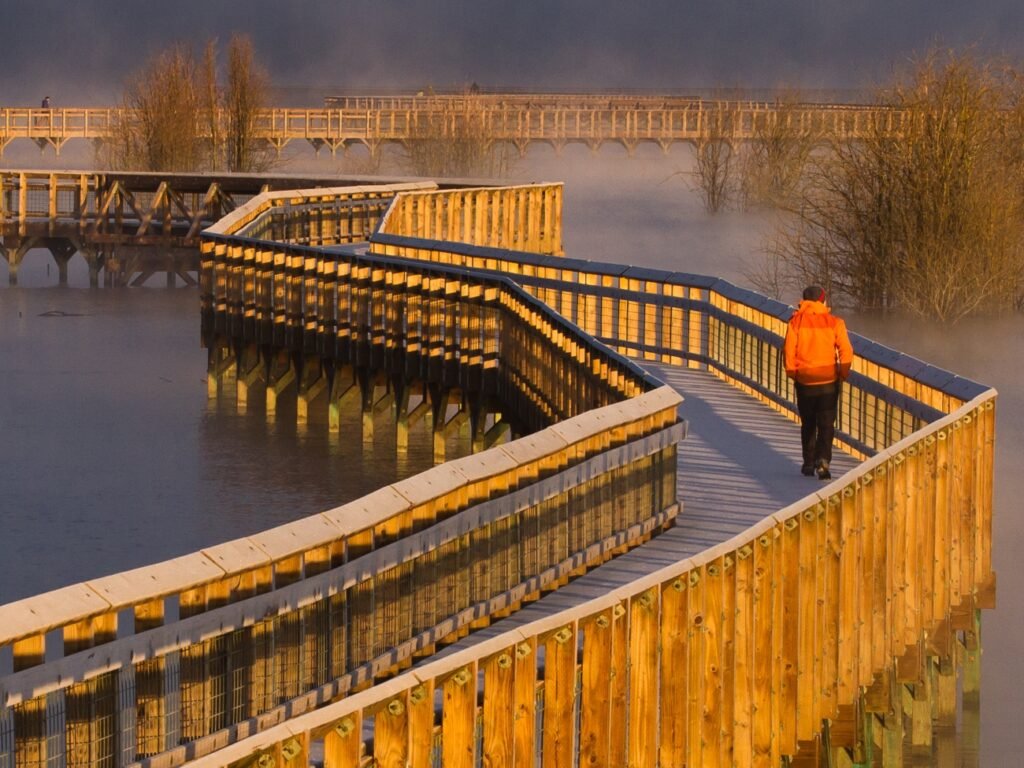 nisqually wildlife refuge